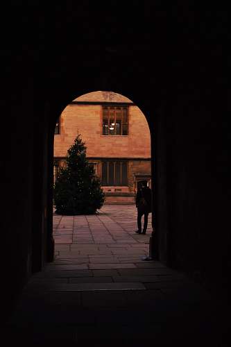 oxford man standing near Christmas tree uni